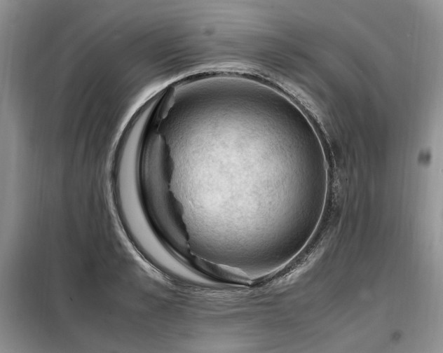 X0000099290989200805021227
