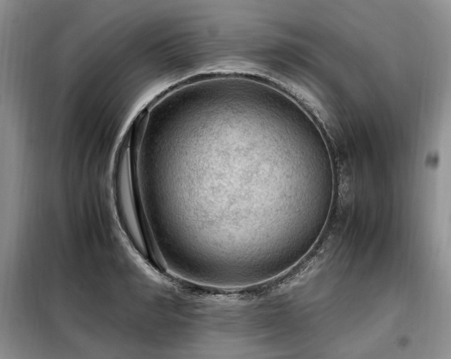 X0000099290990200805021227