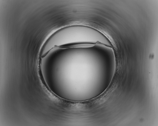 X0000099290992200805021227
