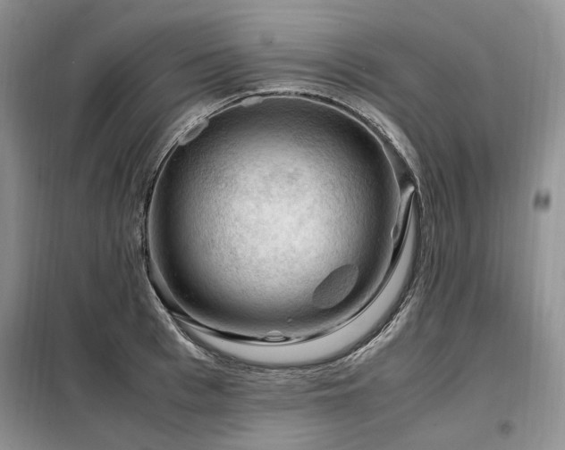 X0000099290993200805021227