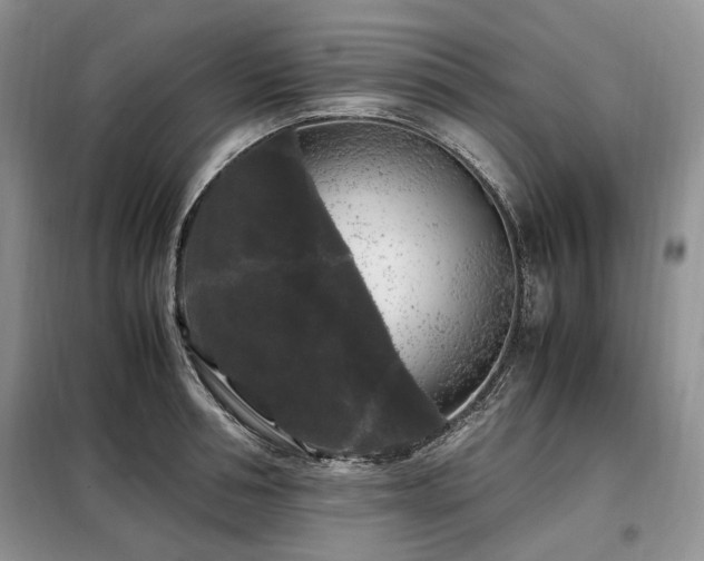 X0000099290994200805021227