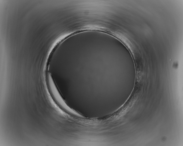 X0000099290995200805021227