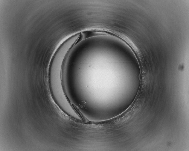 X0000099290996200805021227