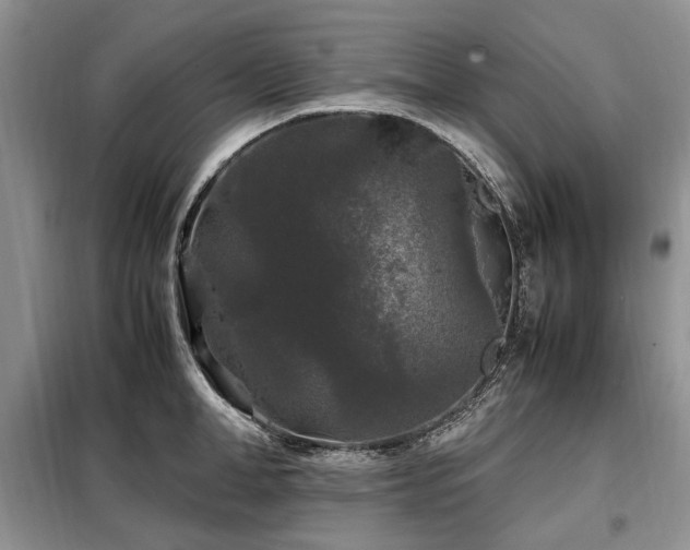X0000099290998200805021227