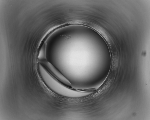 X0000099291000200805021227