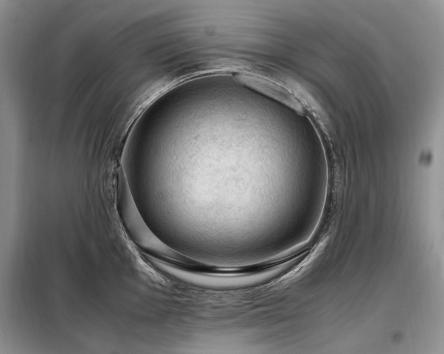 X0000099291001200805021227