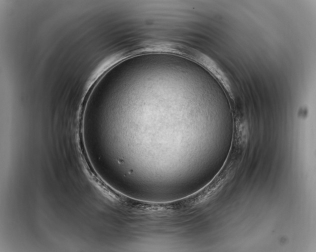 X0000099291002200805021227