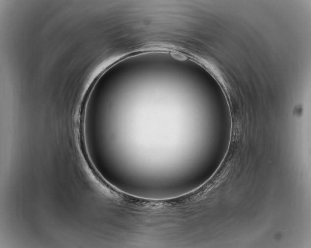X0000099291003200805021227
