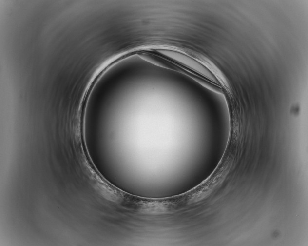 X0000099291004200805021227