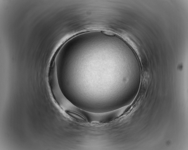 X0000099291005200805021227
