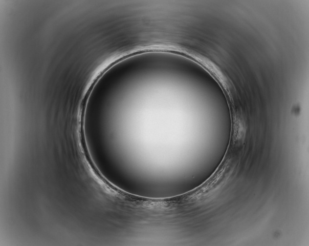X0000099291006200805021227