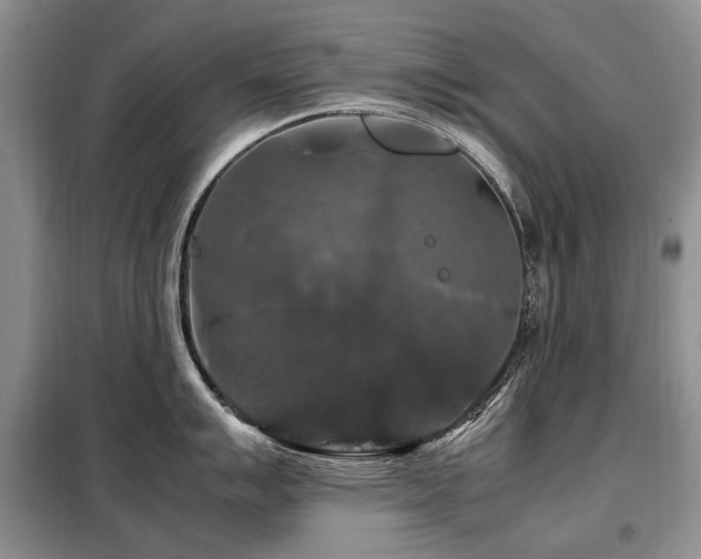 X0000099291007200805021227