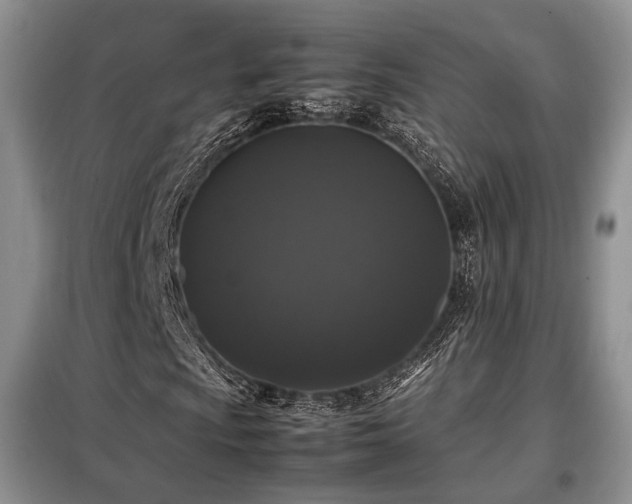 X0000099291009200805021226