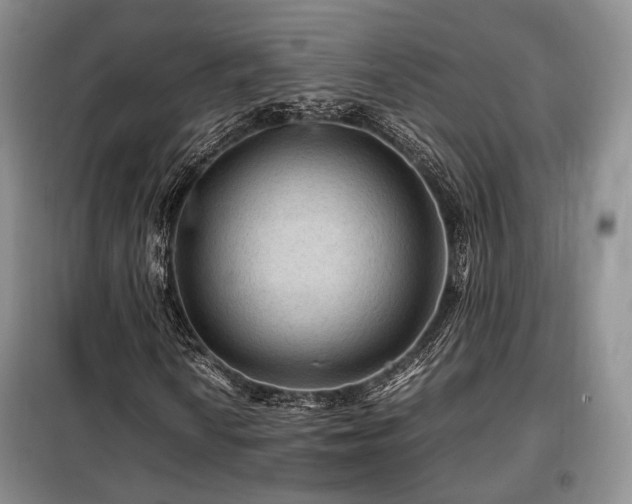 X0000099291010200805021226