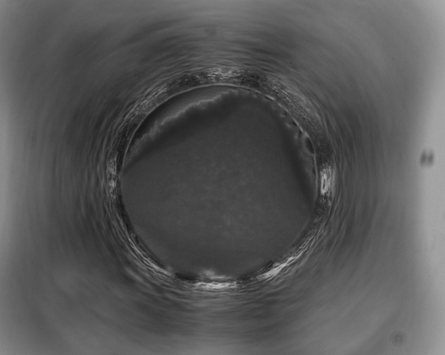 X0000099291011200805021226
