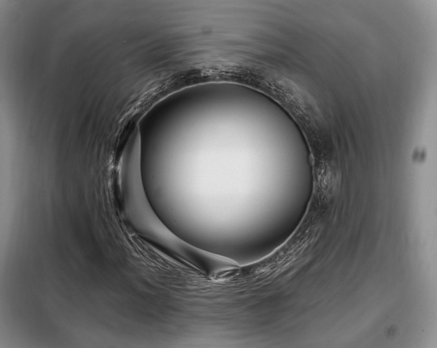 X0000099291012200805021227