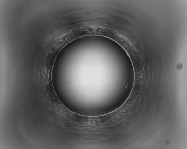 X0000099291013200805021227