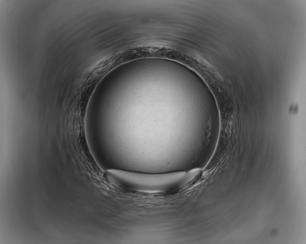 X0000099291014200805021227