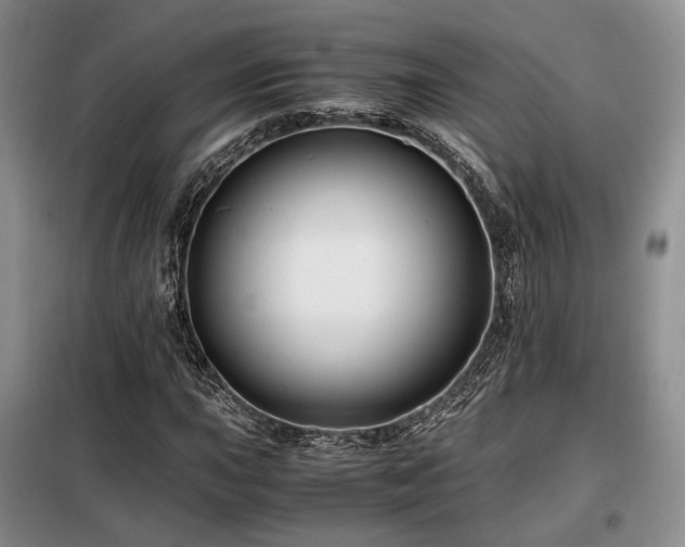 X0000099291015200805021227