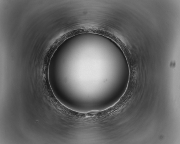 X0000099291016200805021227