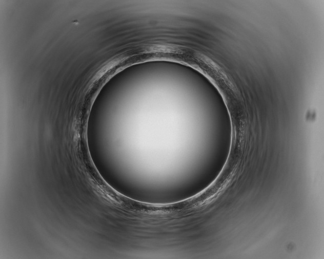 X0000099291017200805021227