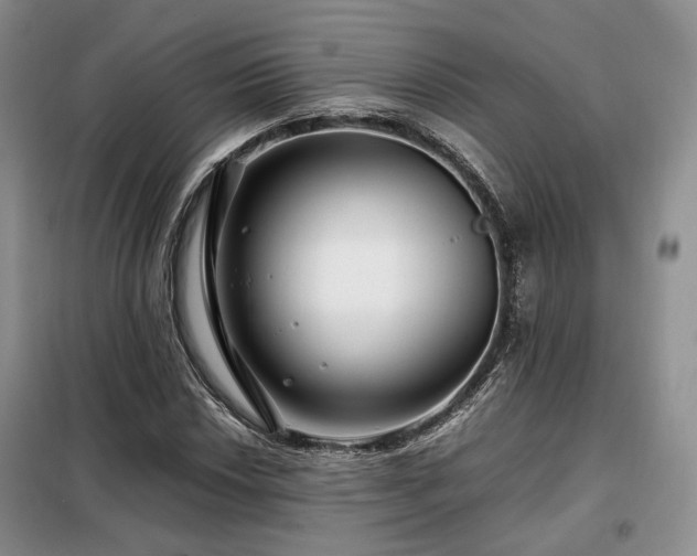 X0000099291018200805021227