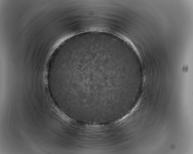 X0000099291019200805021227