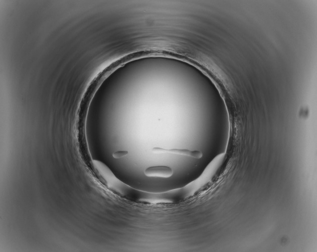 X0000099291020200805021227