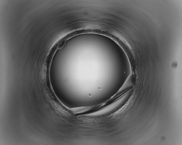 X0000099291021200805021227