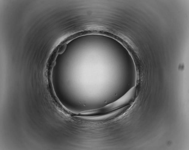 X0000099291022200805021227