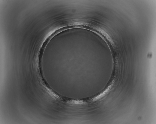 X0000099291023200805021227