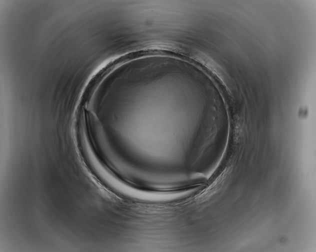 X0000099291024200805021227