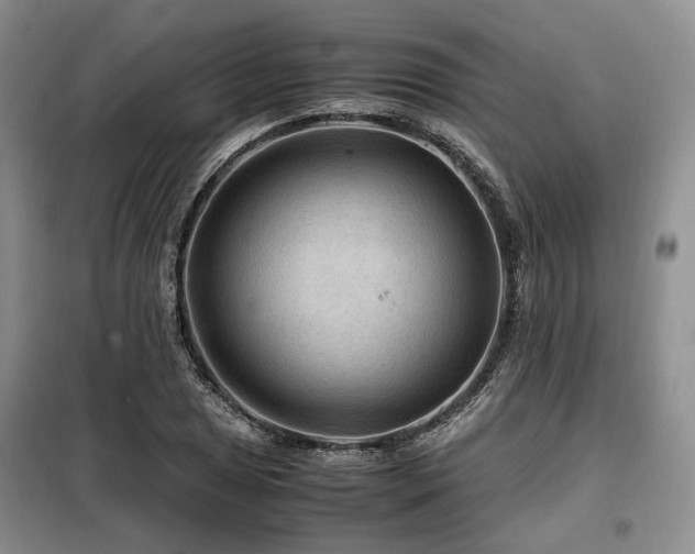 X0000099291025200805021227