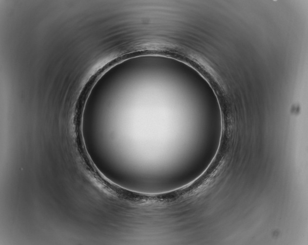 X0000099291026200805021227