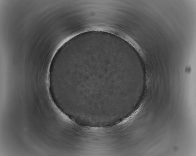 X0000099291028200805021227