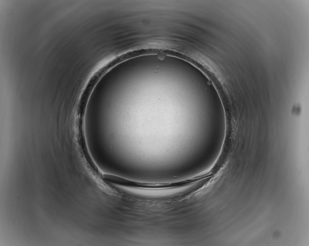 X0000099291029200805021227