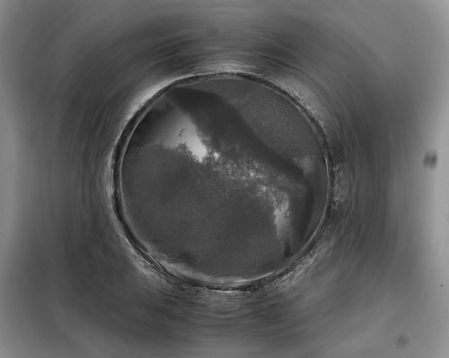 X0000099291031200805021227