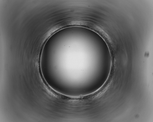 X0000099291033200805021227