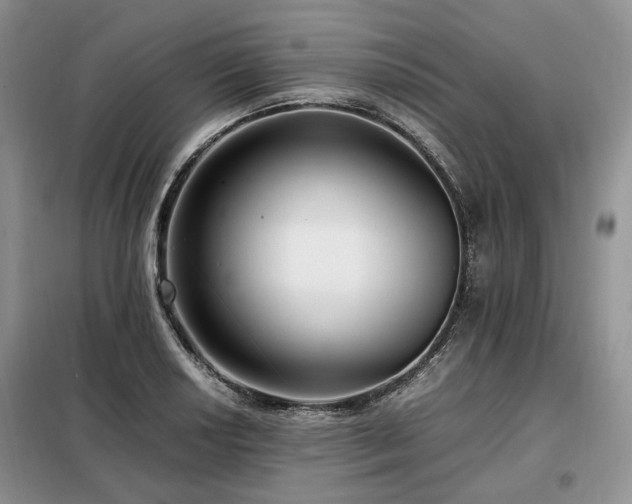 X0000099291034200805021227