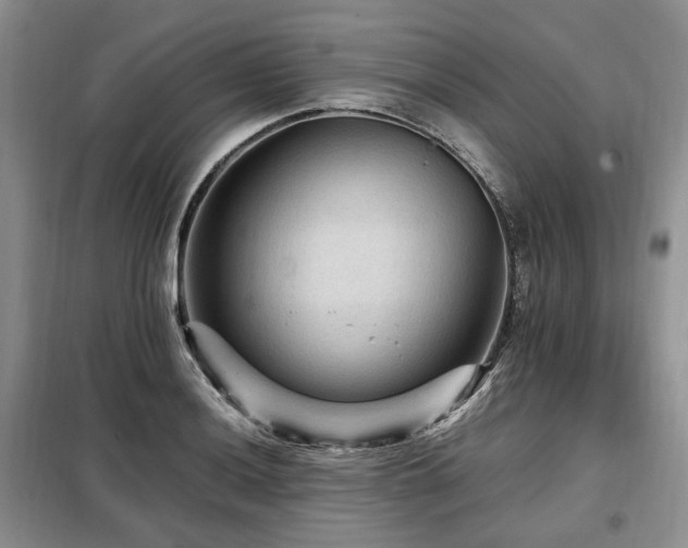 X0000099291036200805021227