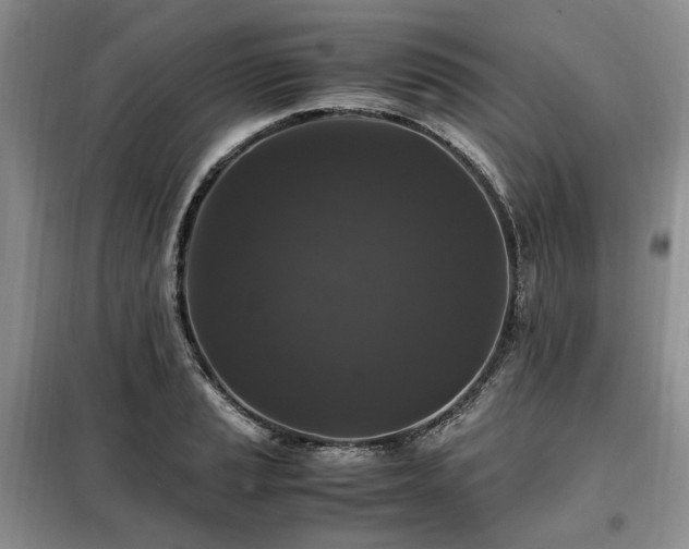 X0000099291037200805021227