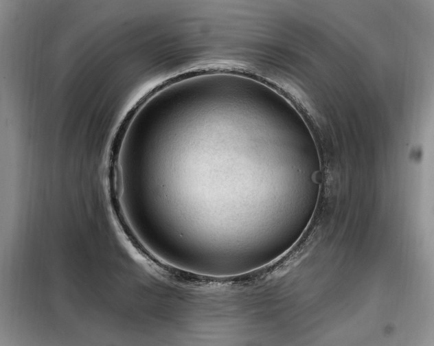 X0000099291038200805021227