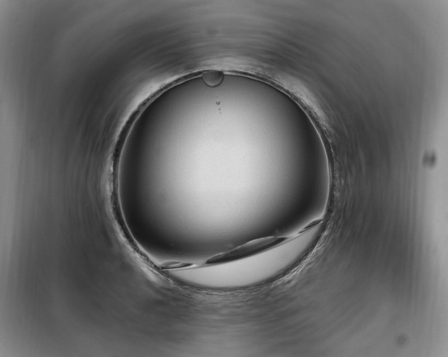 X0000099291040200805021227