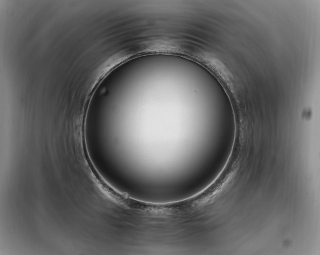 X0000099291041200805021227