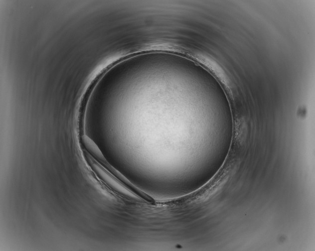 X0000099291043200805021227