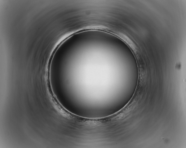 X0000099291044200805021227