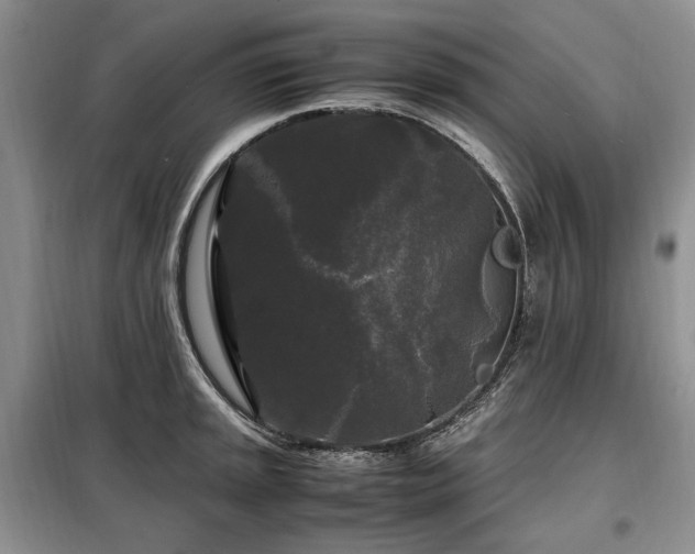 X0000099291045200805021227