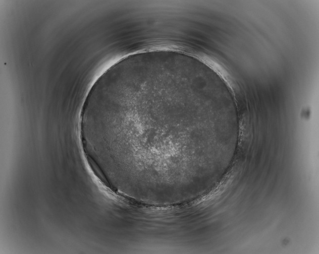 X0000099291047200805021227