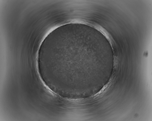 X0000099291048200805021227