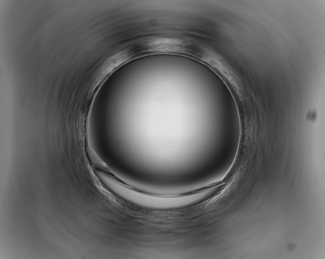 X0000099291049200805021227